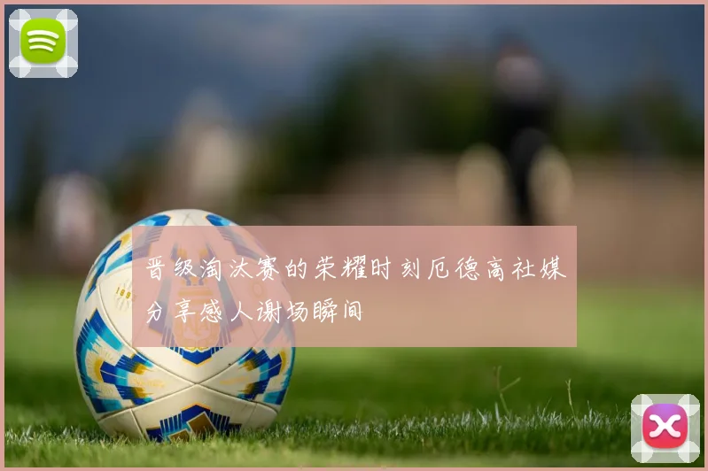 晋级淘汰赛的荣耀时刻厄德高社媒分享感人谢场瞬间