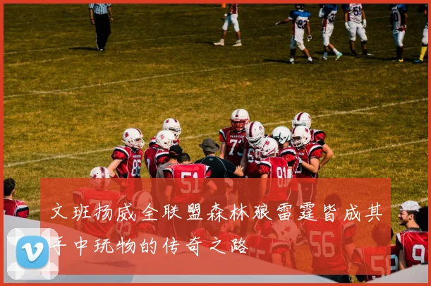 文班扬威全联盟森林狼雷霆皆成其手中玩物的传奇之路