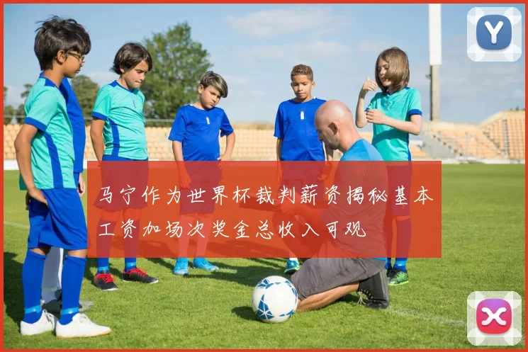 马宁作为世界杯裁判薪资揭秘基本工资加场次奖金总收入可观
